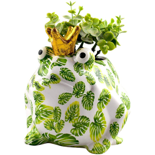 Frog Freddy | Planter