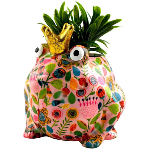 Frog Freddy | Planter