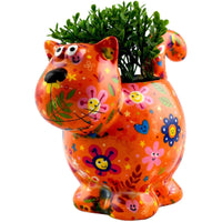 Cat Dorothy | Planter